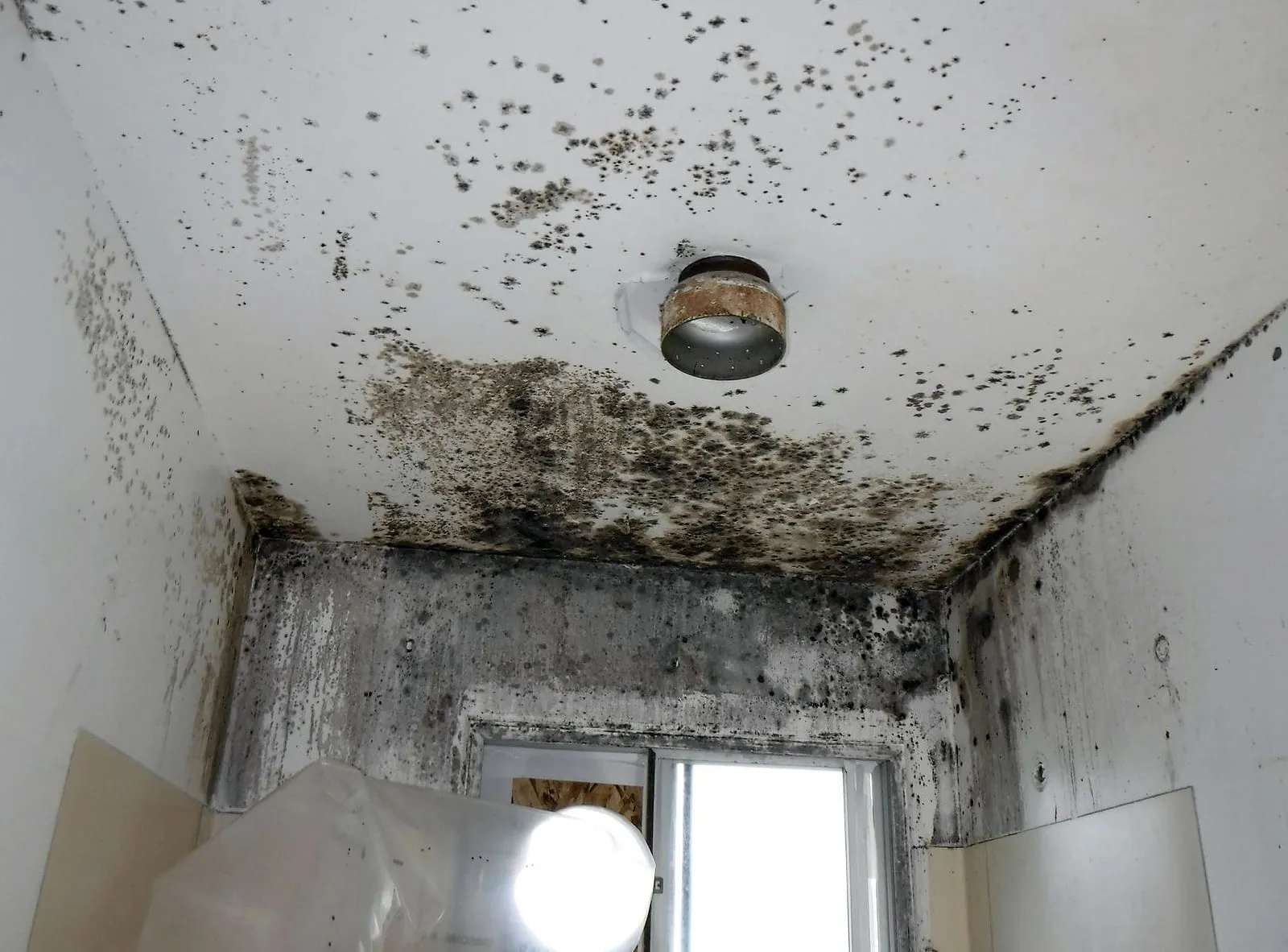 Heavy mold growth on a ceiling around a vent before mold remediation by Loftin Restoration
