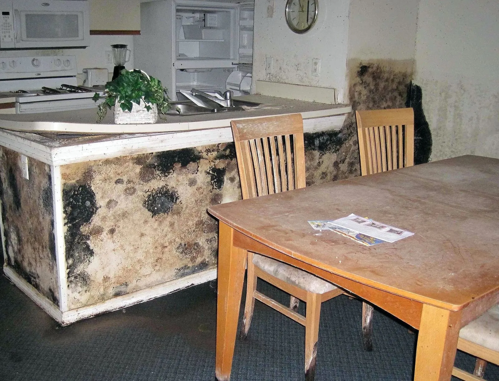 Mold and water damage along kitchen cabinetry being assessed by Loftin Restoration